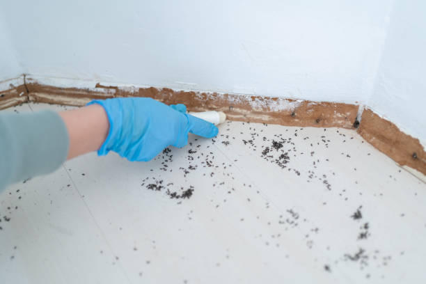 Best Commercial Pest Control  in Durand, MI